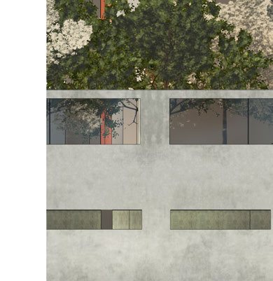 Environmental & biomimicry study - Image 13