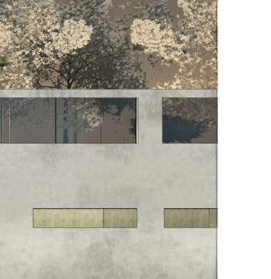 Environmental & biomimicry study - Image 20