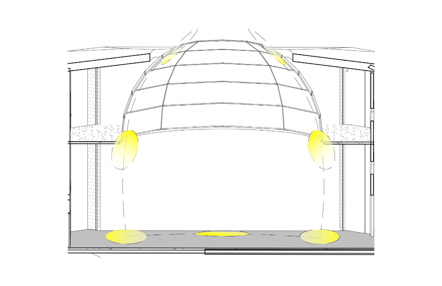 Daylight & occupancy study